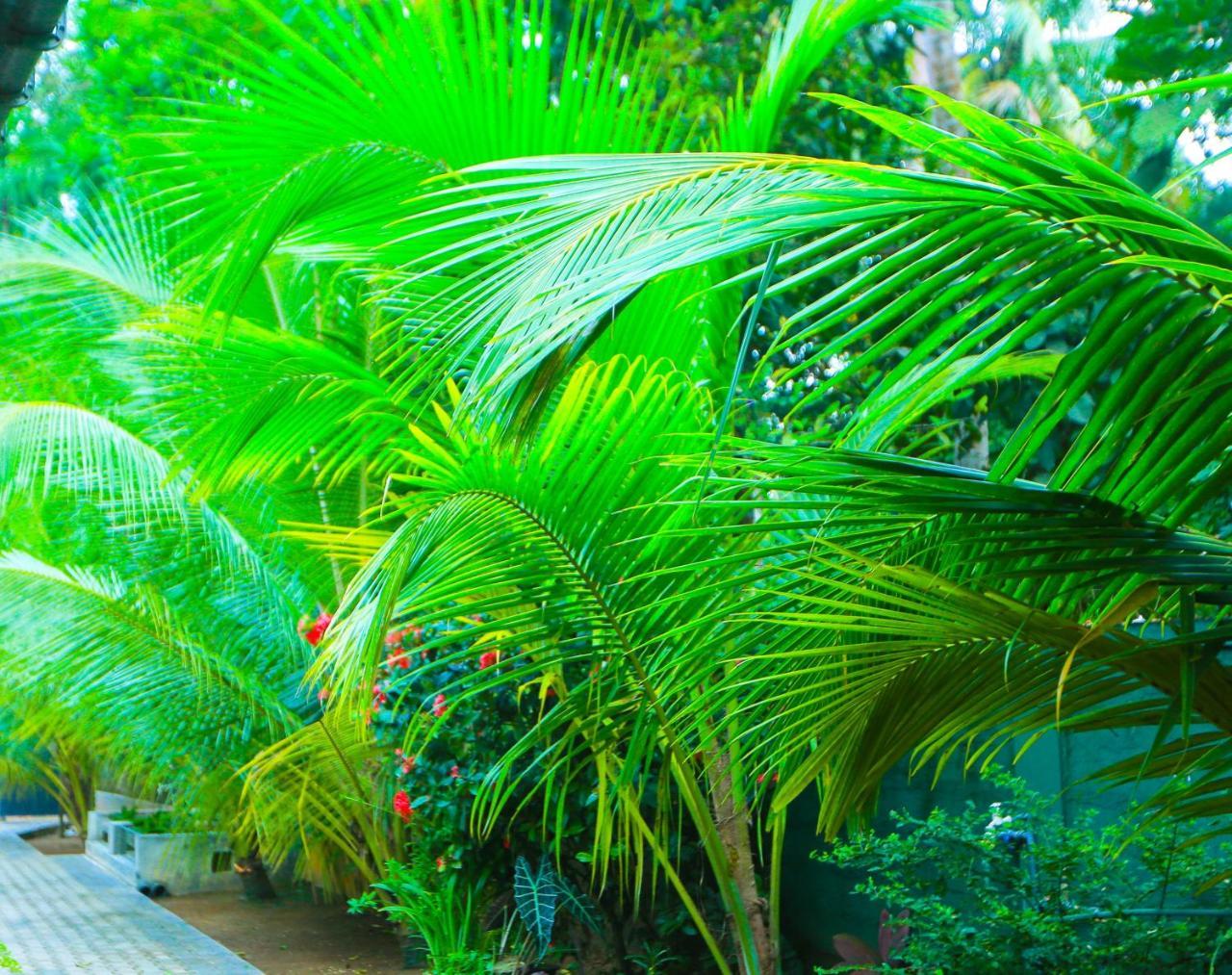 Elagawagoda Sri Lankan Villa מראה חיצוני תמונה